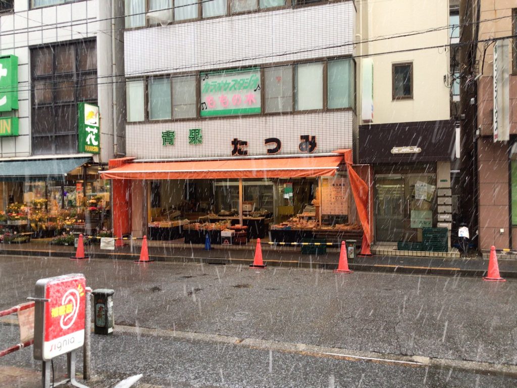 東京都,江戸川区,瑞江,雪,都内大雪
