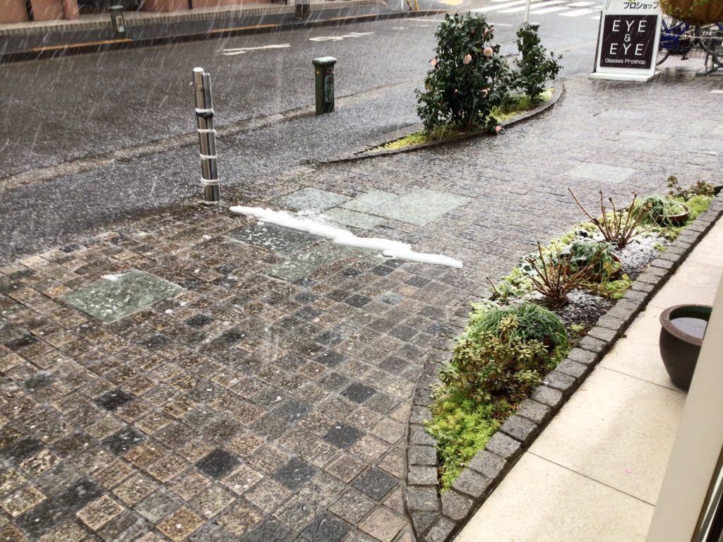 東京都,江戸川区,瑞江,雪,都内大雪