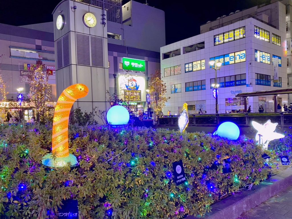 こどもの眼鏡屋フェイスオン瑞江店,瑞江,ライトアップ,イルミネーション
