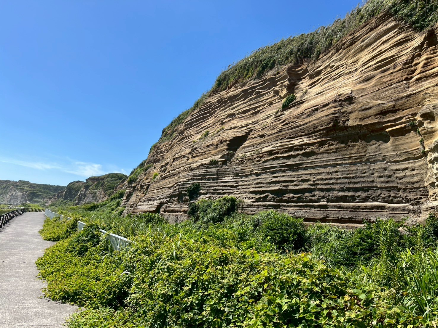 東京都,江戸川区,船堀,メガネ,アイアンドアイ