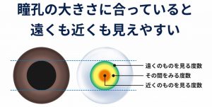 江戸川区,船堀,ｺﾝﾀｸﾄ,1Day,遠近両用