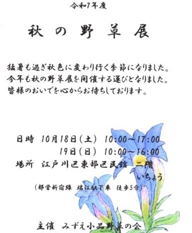 秋の展示会　江戸川区　メガネ