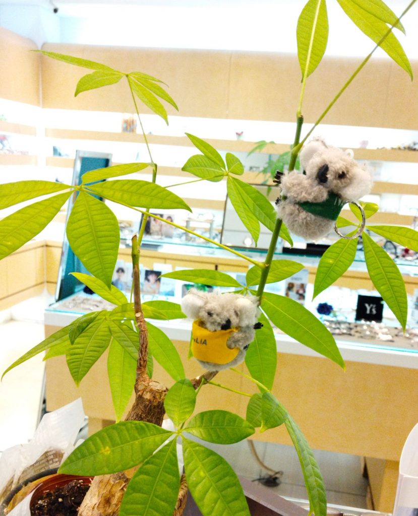 東京都,江戸川区,瑞江,眼鏡,メガネ