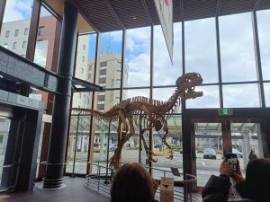 東京都,江戸川区,船堀,メガネ,アイアンドアイ