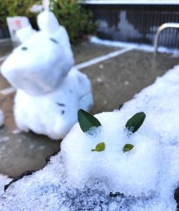 江戸川区,ﾒｶﾞﾈ,船堀,ｱｲｱﾝﾄﾞｱｲ