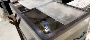 東京都,江戸川区,船堀,メガネ,アイアンドアイ,TALEX,タレックス