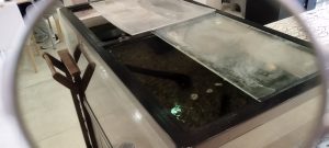 東京都,江戸川区,船堀,メガネ,アイアンドアイ,TALEX,タレックス