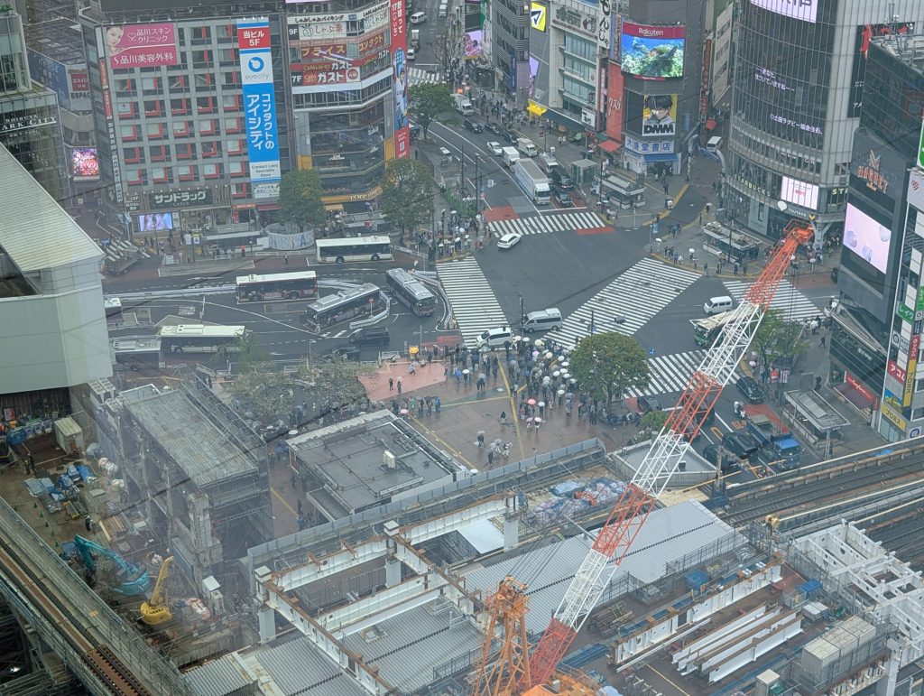 人気のメガネ　フォーナインズ　江戸川