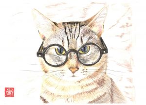 メガネねこ 江戸川